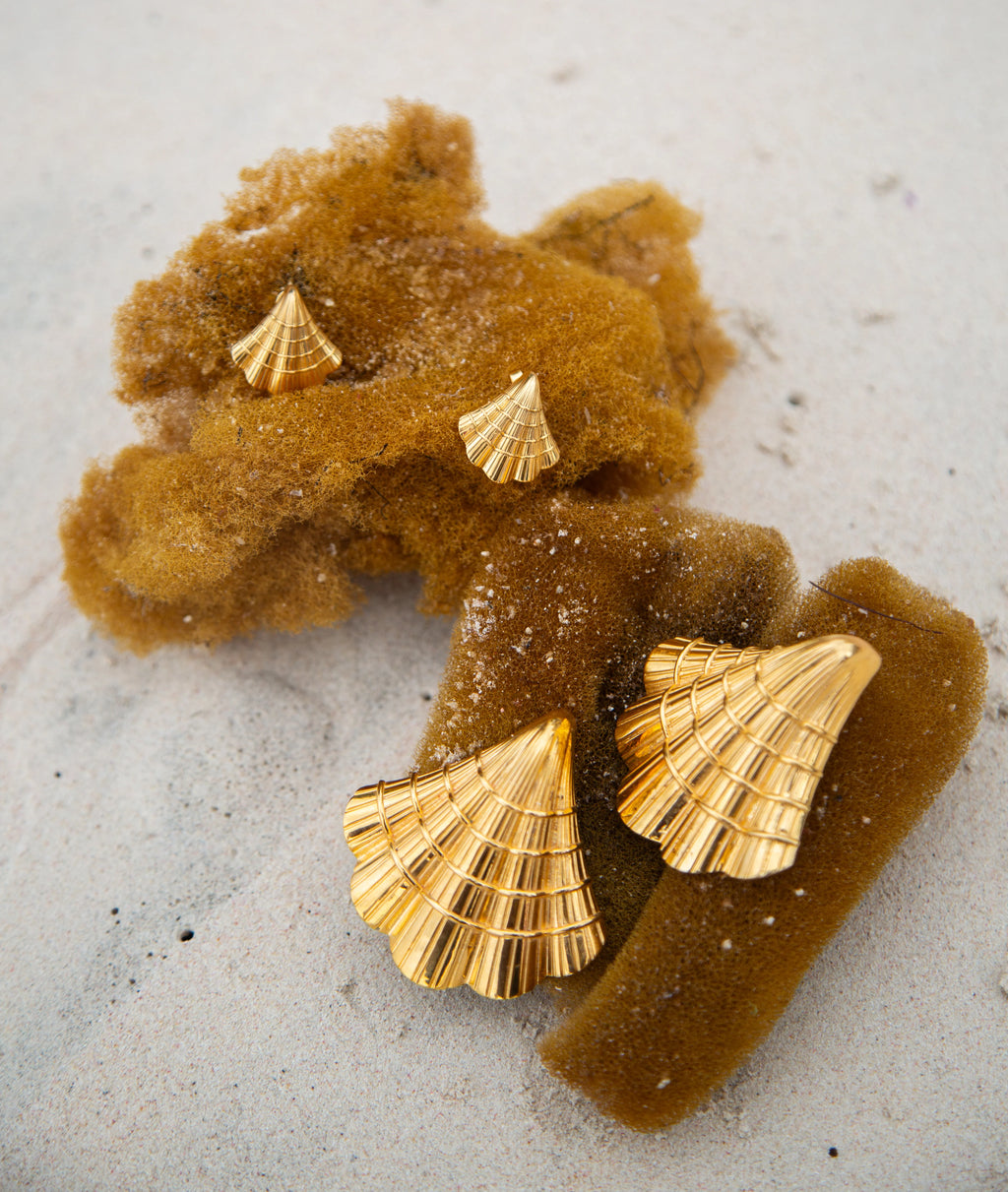 Mini Coastal Curve Shell Earrings by Jam & Rico
