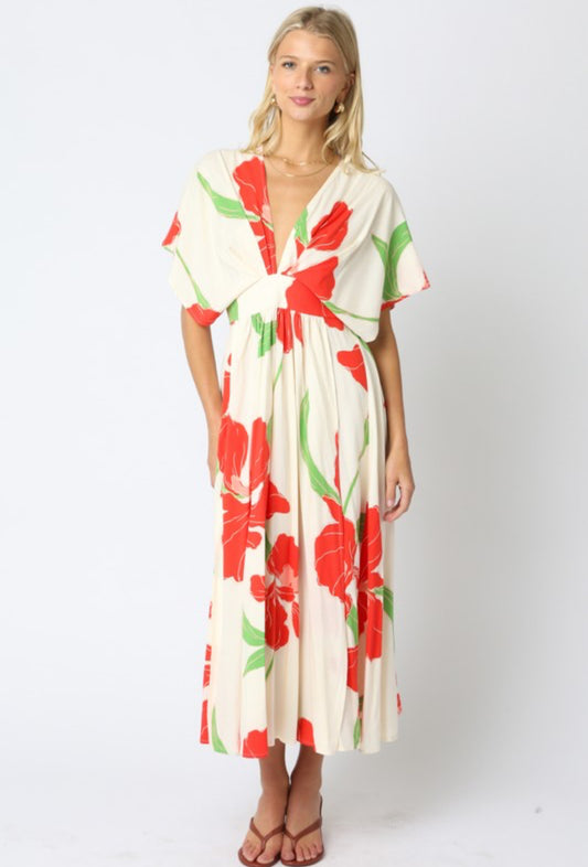 Amile Dress