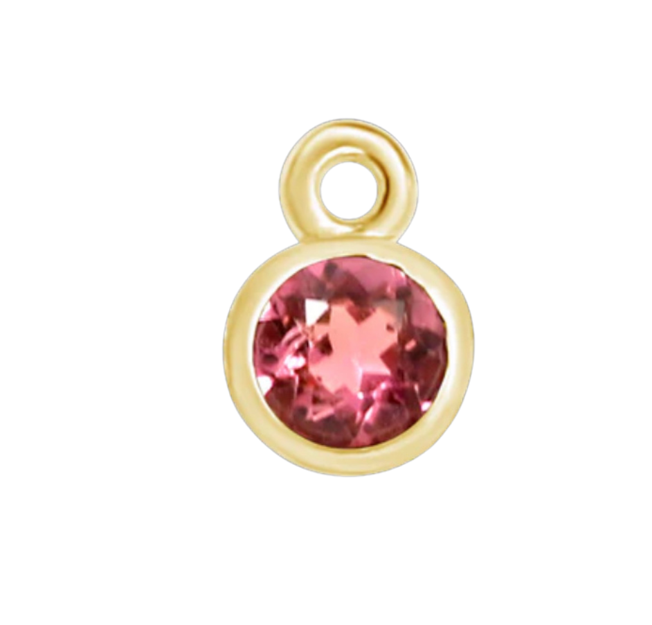 
                  
                    Birthstone Forever Charm
                  
                