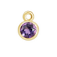 Birthstone Forever Charm